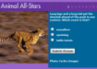 Animals All-stars | Recurso educativo 67582