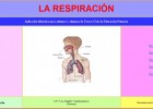 La respiración | Recurso educativo 34814