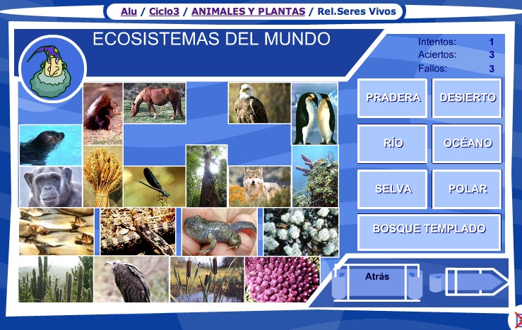 Los ecosistemas del mundo | Recurso educativo 35741