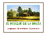 E-Book: El bosque de la bruja | Recurso educativo 39496