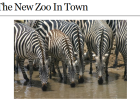 Website: The new zoo in town | Recurso educativo 43012