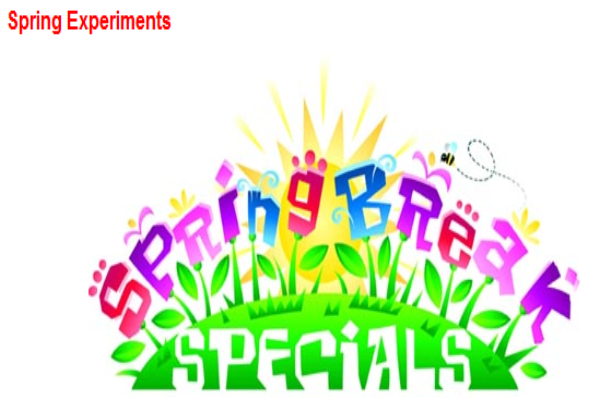 Spring experiments | Recurso educativo 45616