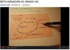 La beta oxidació d'un àcid gras de 14 carbonis | Recurso educativo 47324