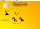 Anatomia de l'ADN | Recurso educativo 49091