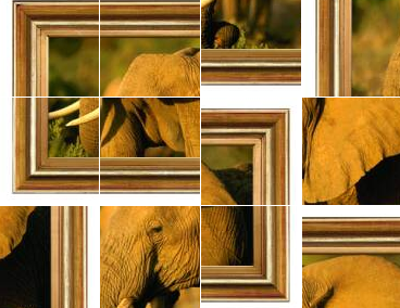 Puzzle interactivo: elefante | Recurso educativo 50667