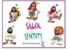 Sàlix i els sentits | Recurso educativo 21164