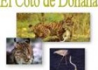 El Coto de Doñana | Recurso educativo 21227