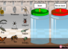 Insects | Recurso educativo 21762