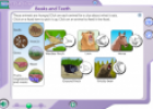 Beaks and teeth | Recurso educativo 25797