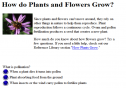 How plants grow | Recurso educativo 26557