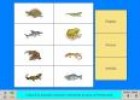 Els animals vertebrats II | Recurso educativo 4418