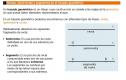 Trazados geométricos | Recurso educativo 6581