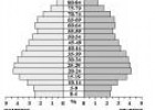 Estructura demográfica/Estructura profesional | Recurso educativo 9730