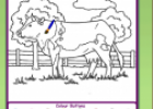 Colouring the farm | Recurso educativo 63249