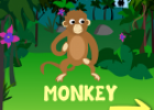 Jungle flashcards | Recurso educativo 71609