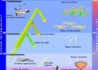 CAPAS ATMÓSFERA | Recurso educativo 107935