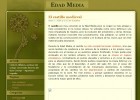 O castelo medieval | Recurso educativo 745675