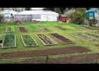 Hort ecològic | Recurso educativo 762128